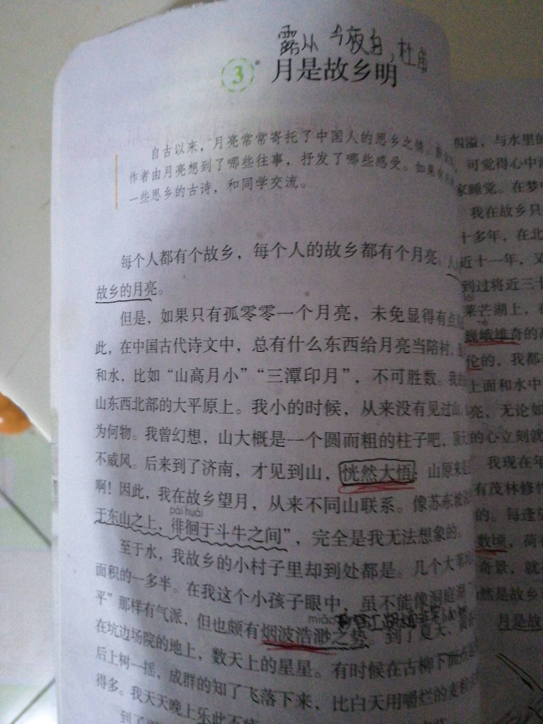 图像