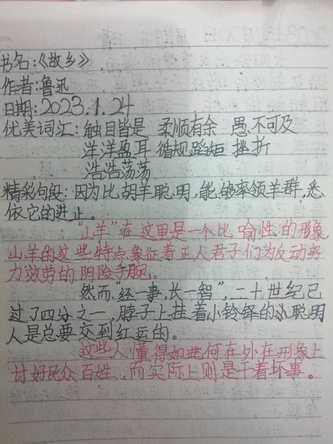图像