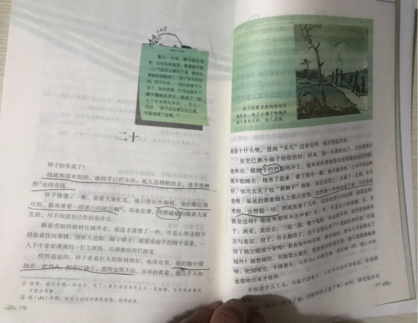 图像