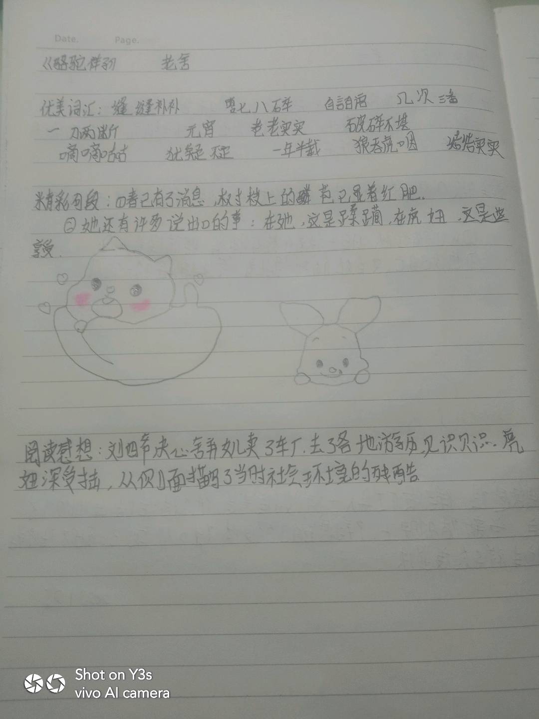 图像