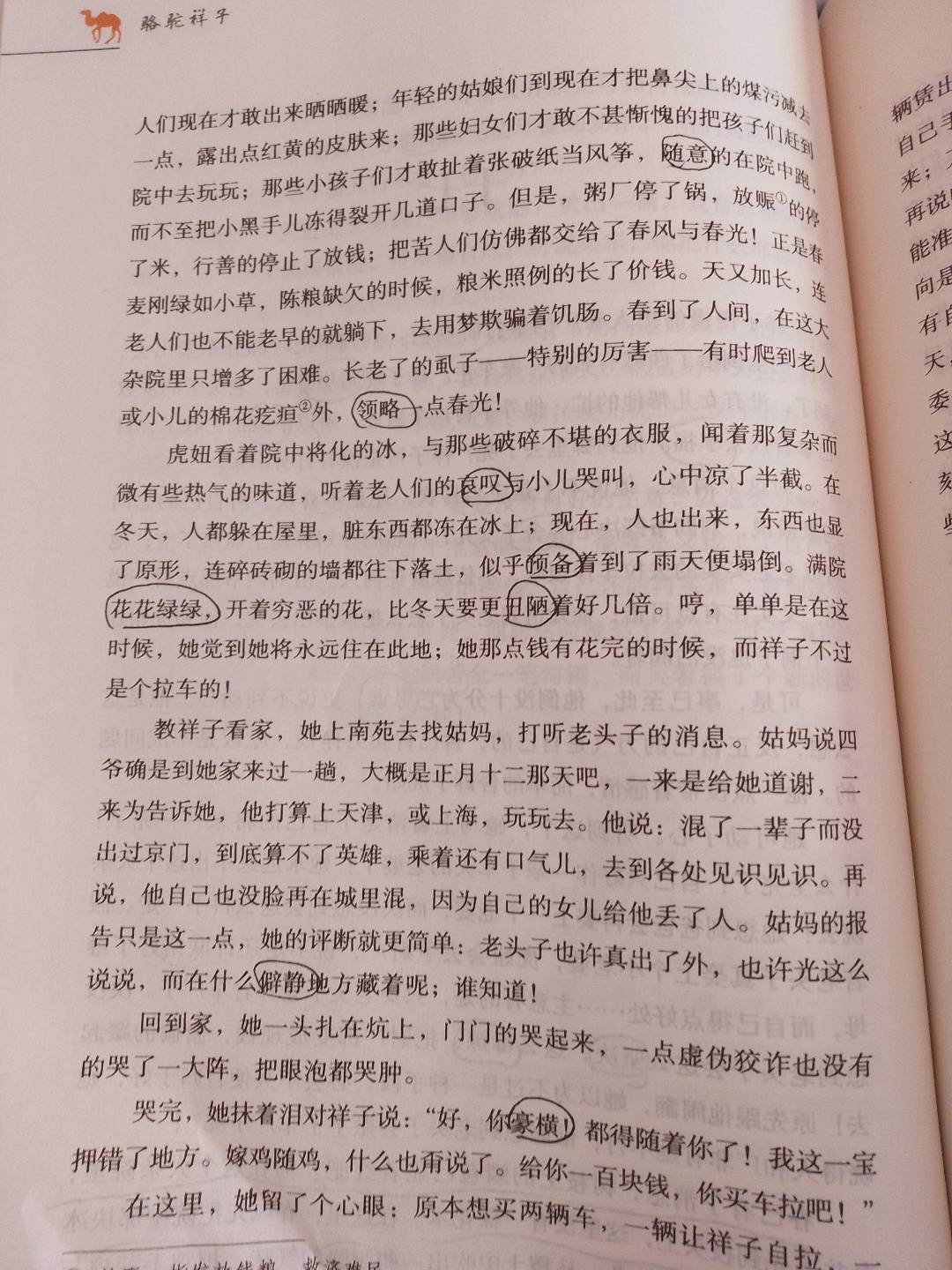 图像