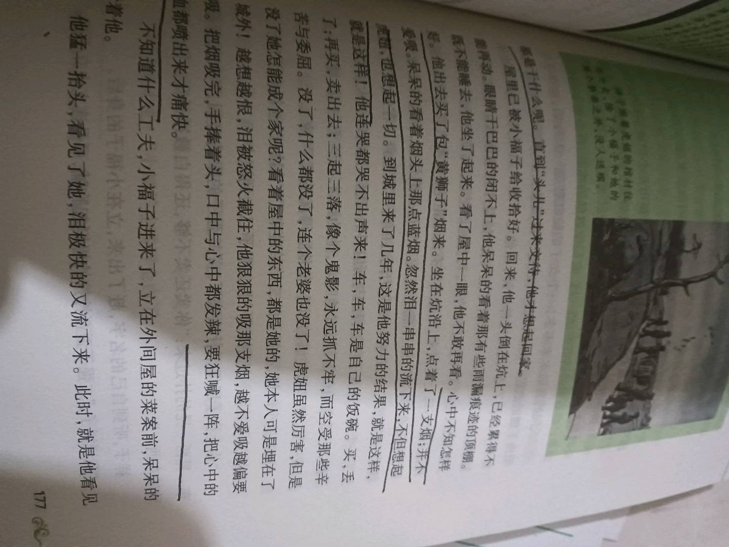 图像