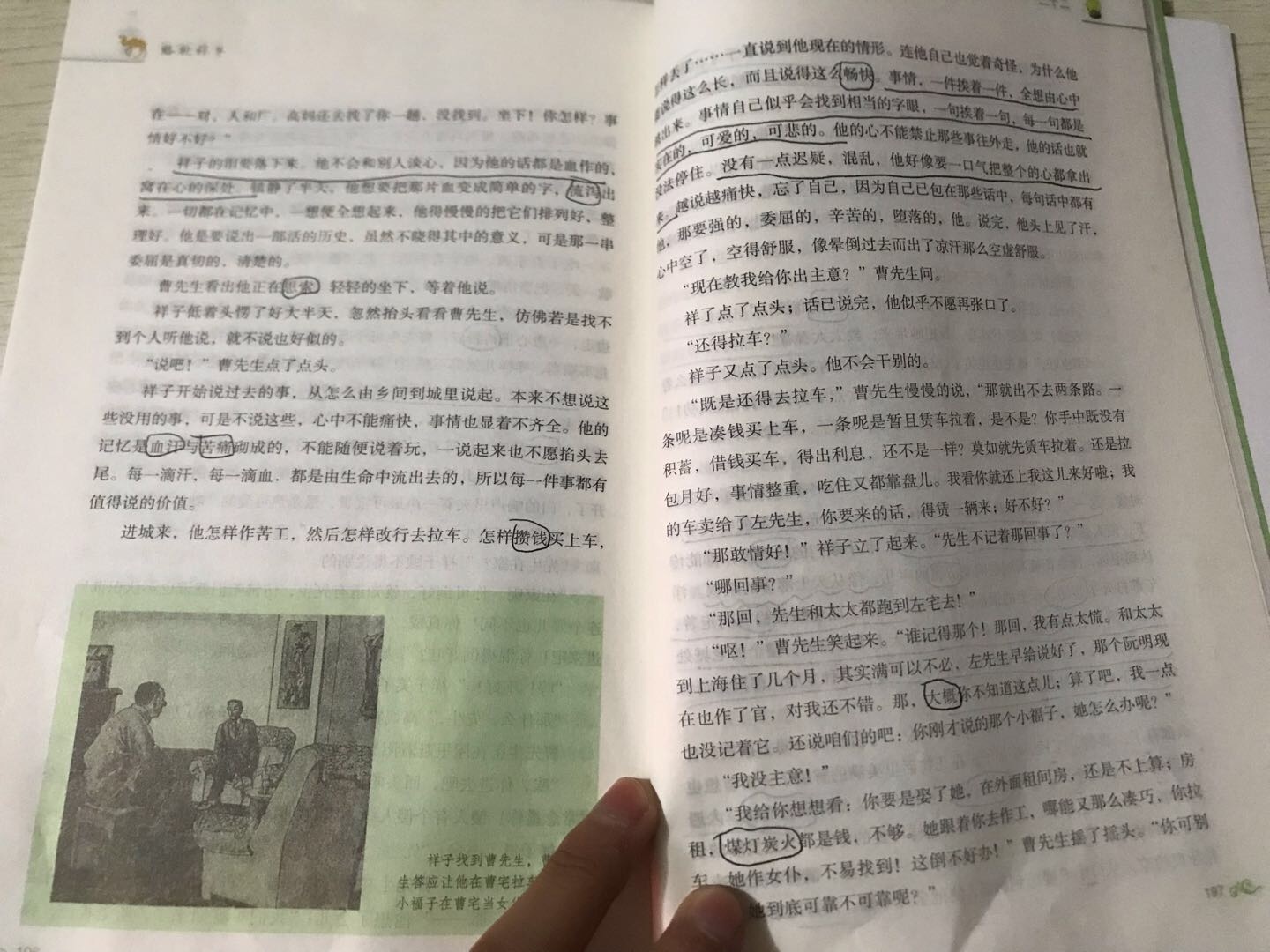 图像