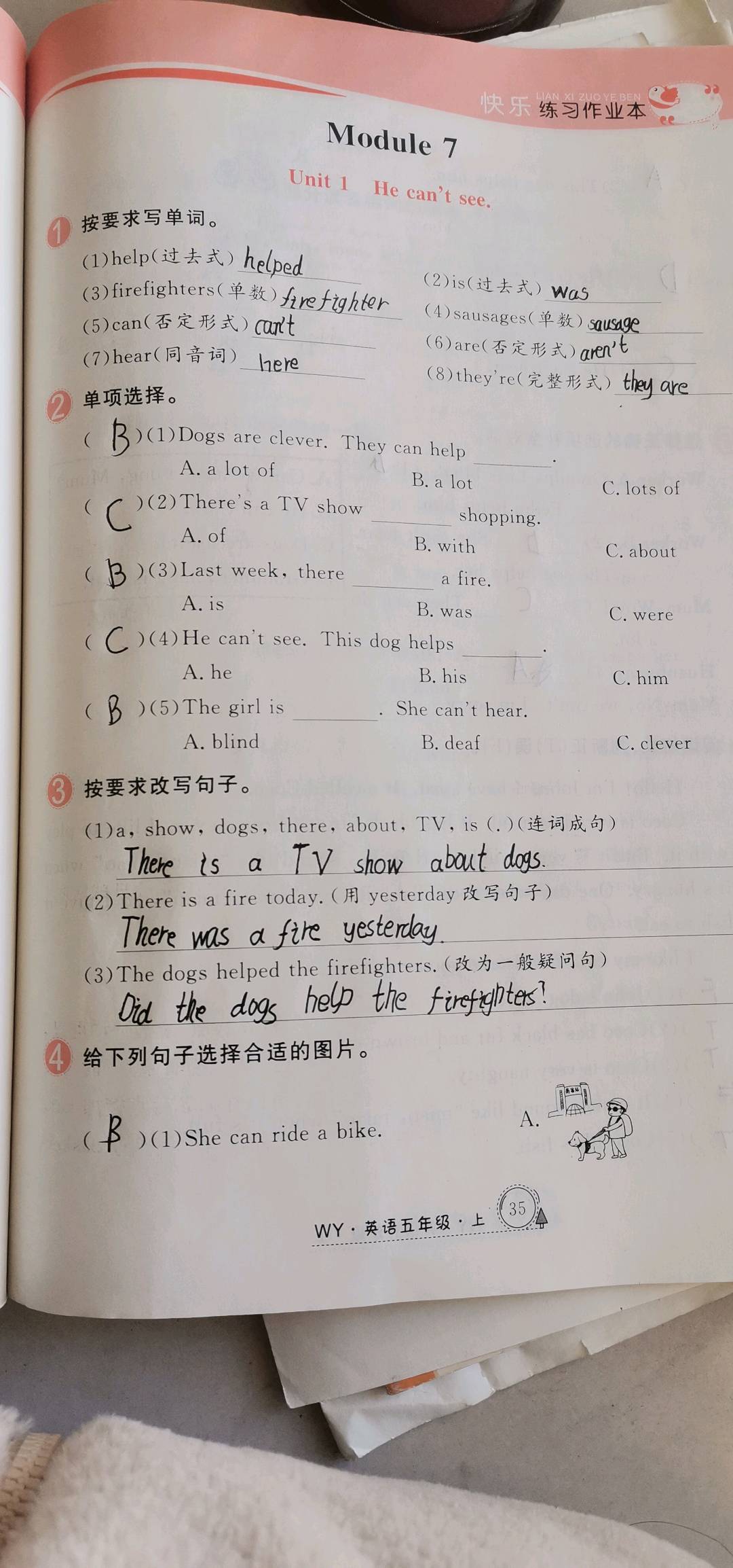 图像