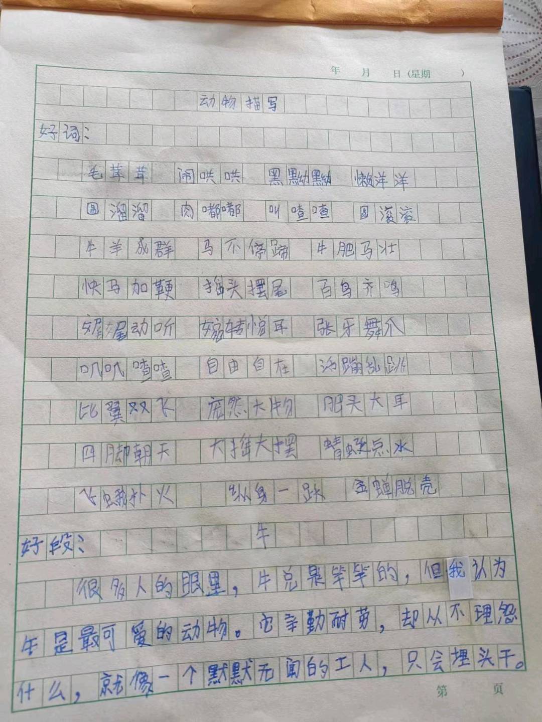 图像
