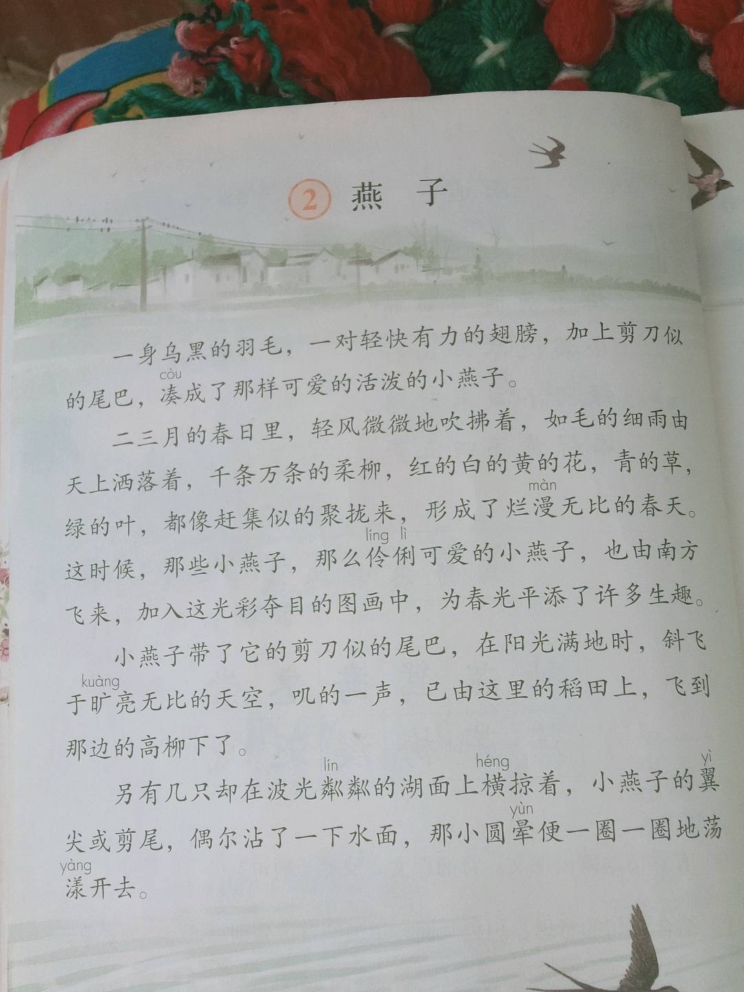 图像