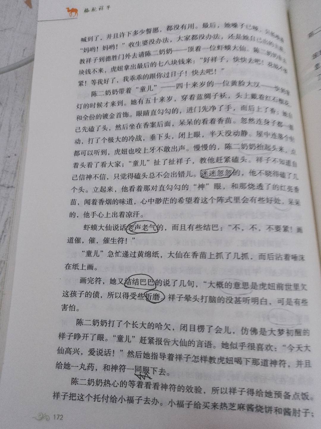 图像