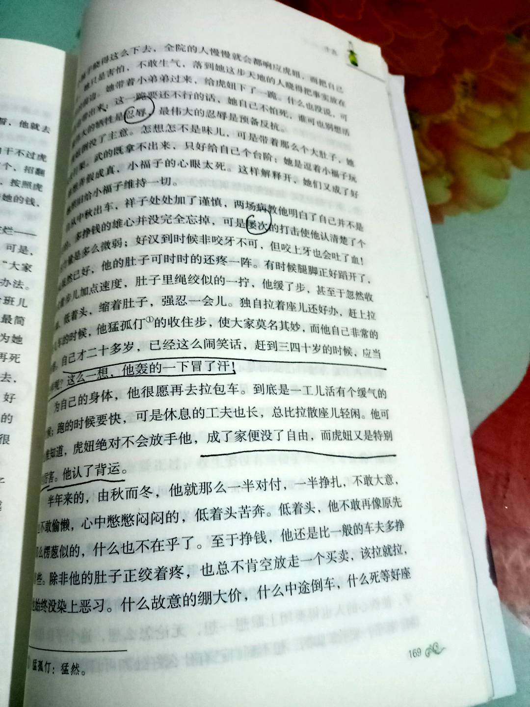 图像