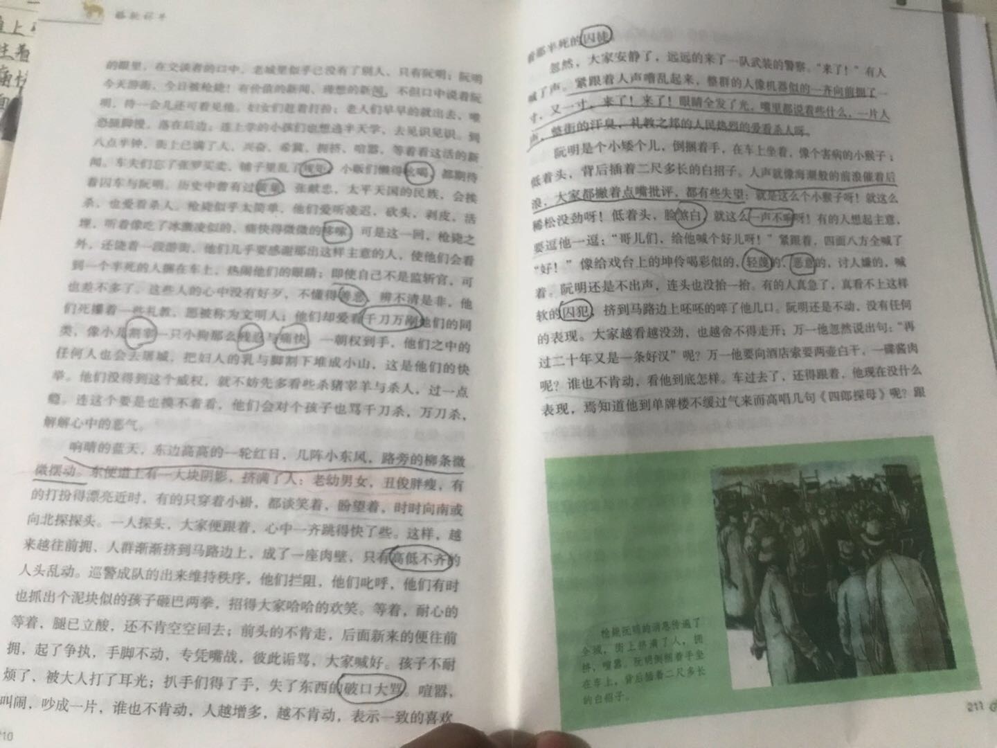 图像