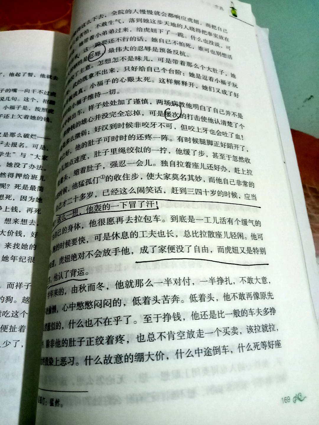 图像