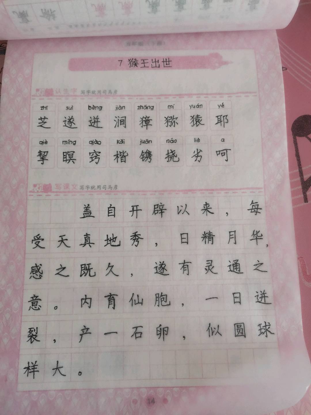 图像