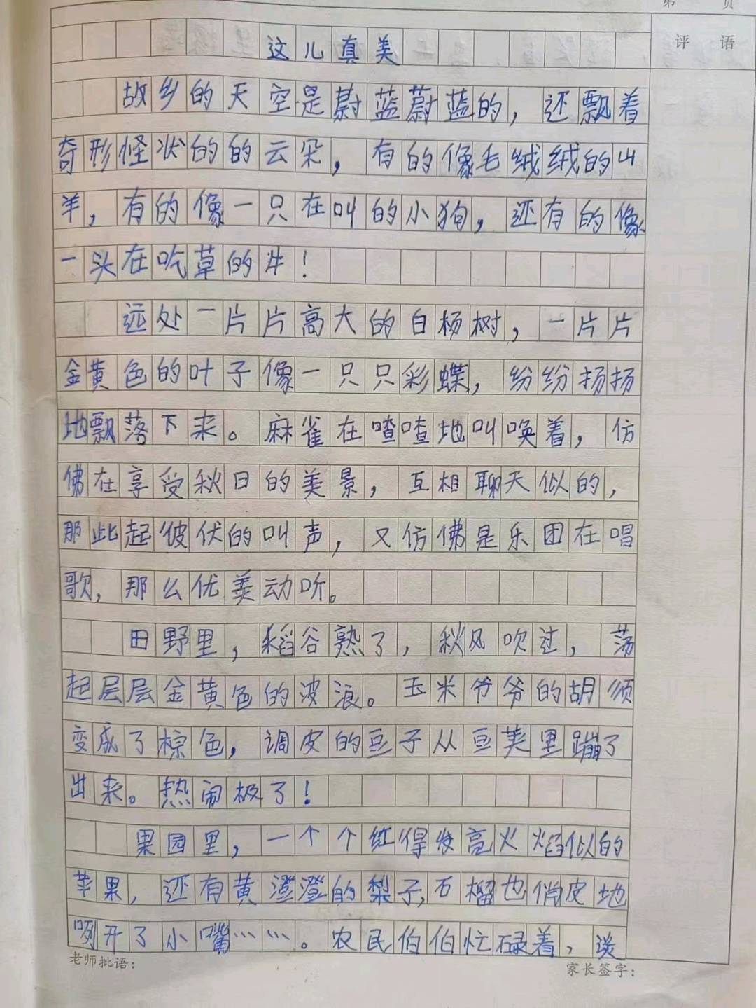 图像