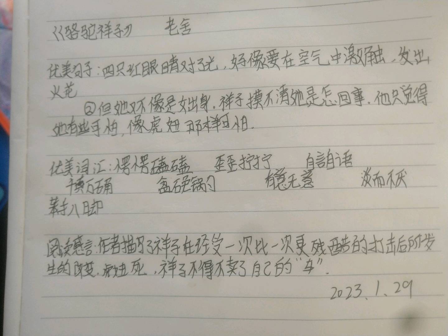 图像
