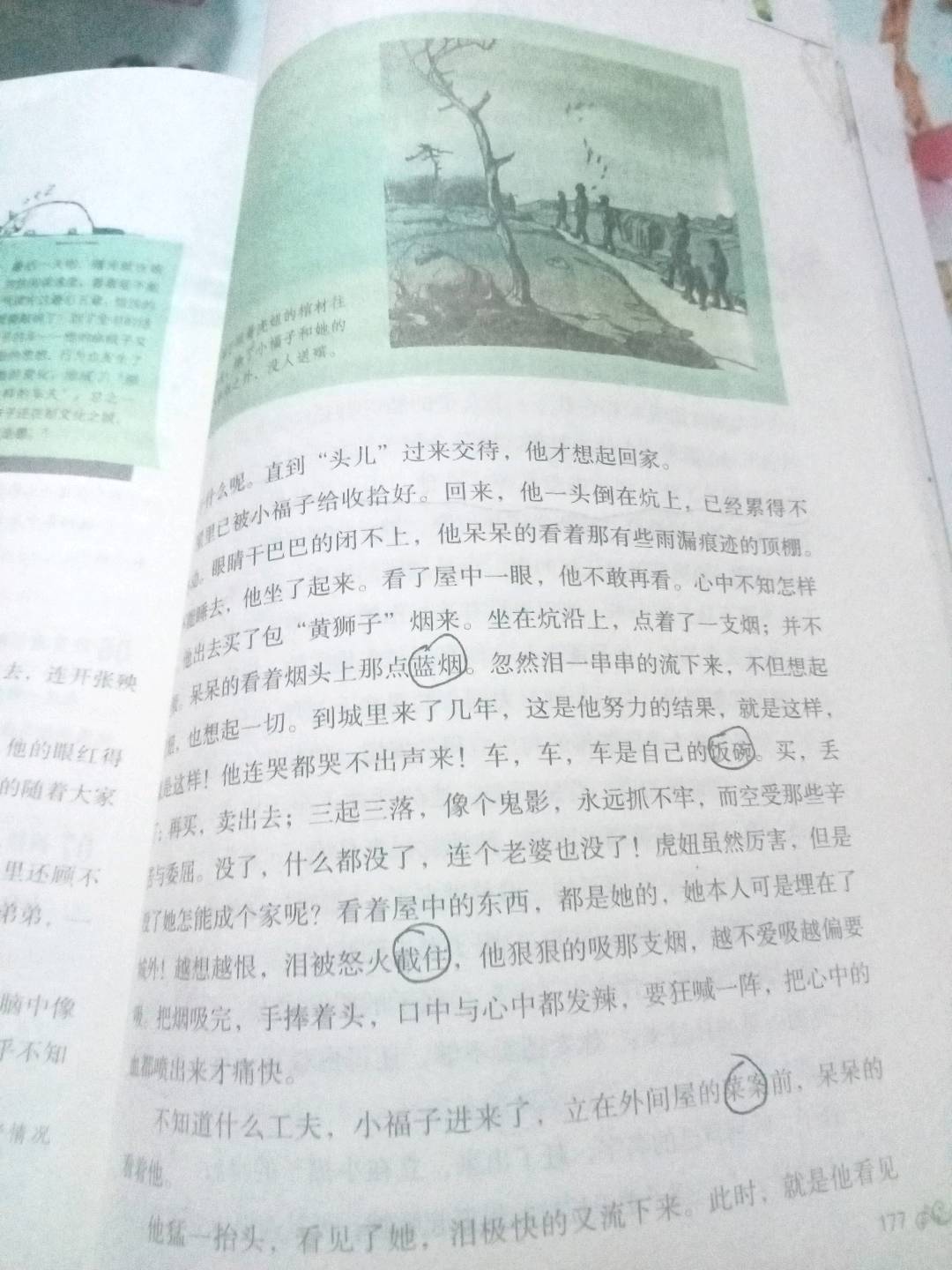 图像