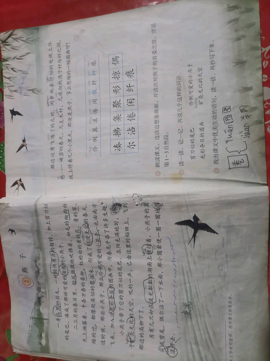 图像