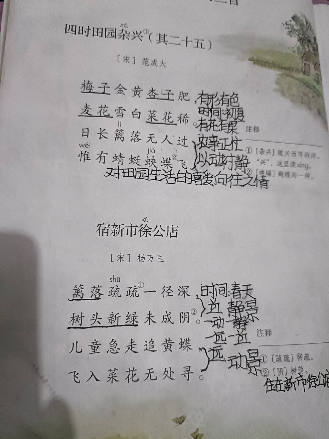 图像