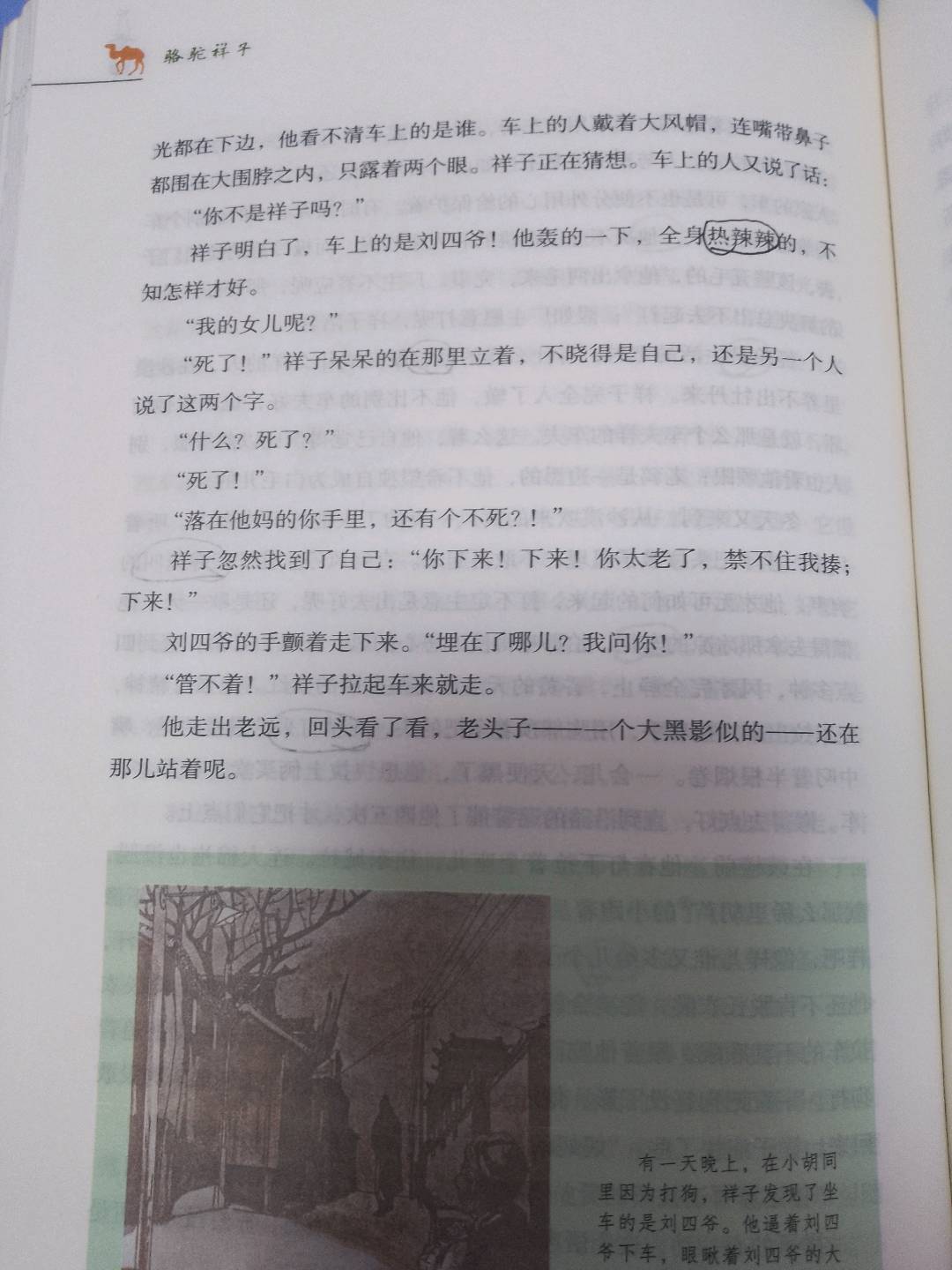 图像