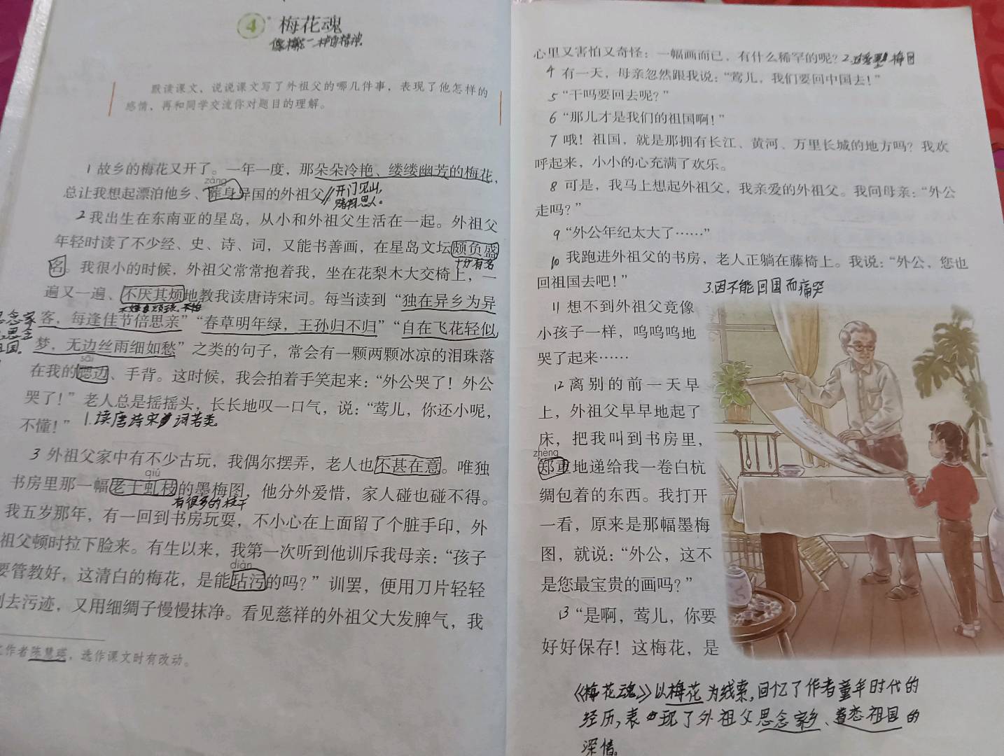 图像
