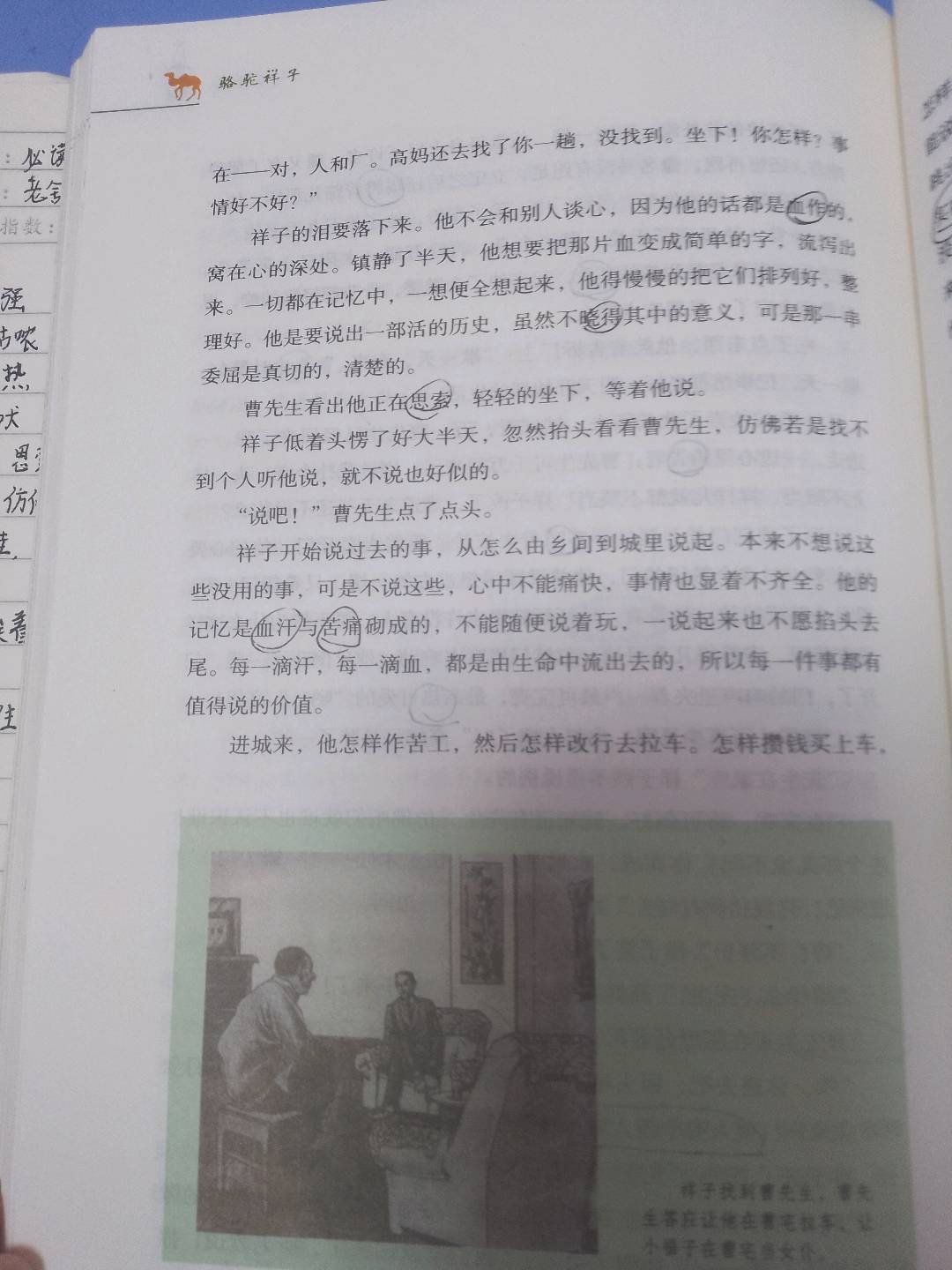 图像