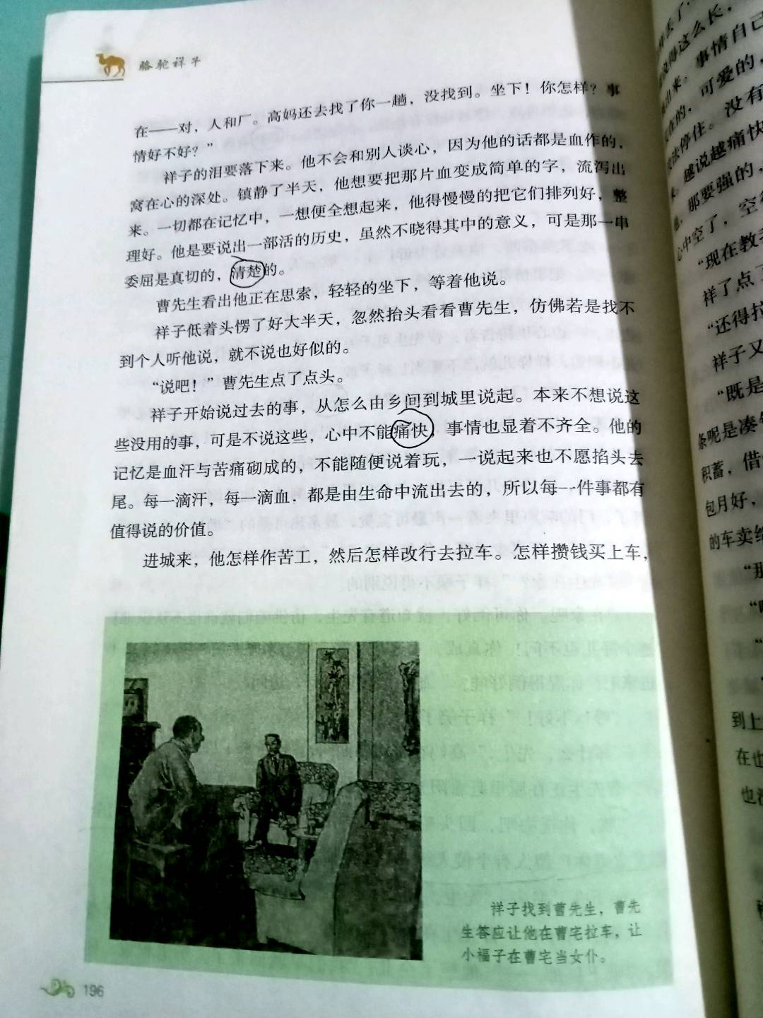 图像