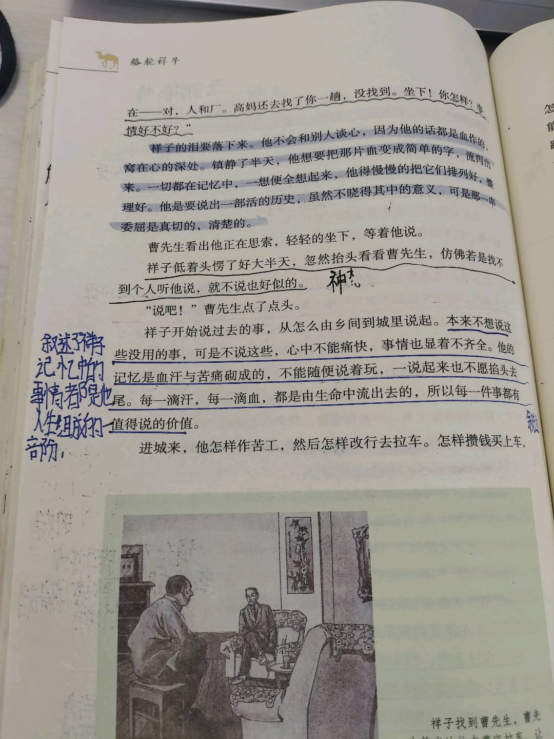 图像