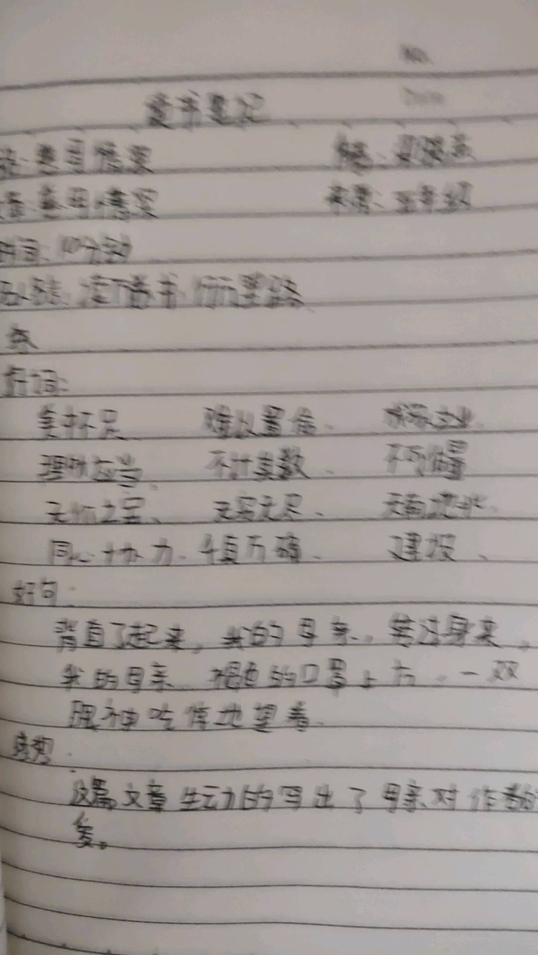 图像