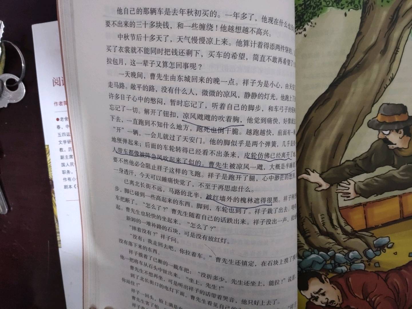 图像