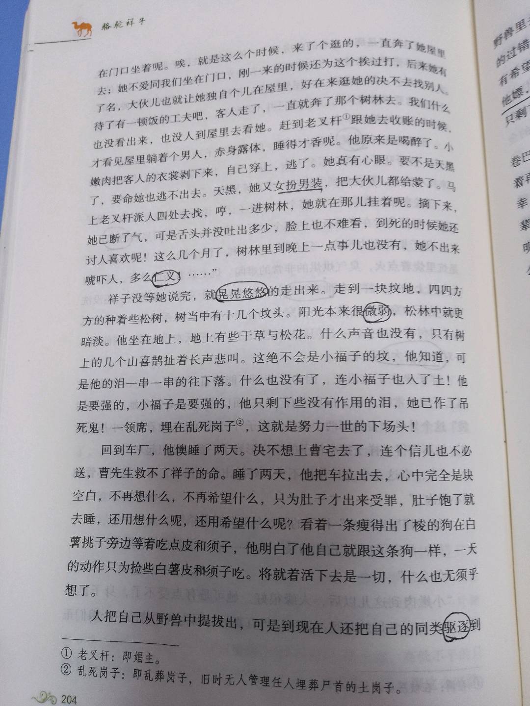 图像