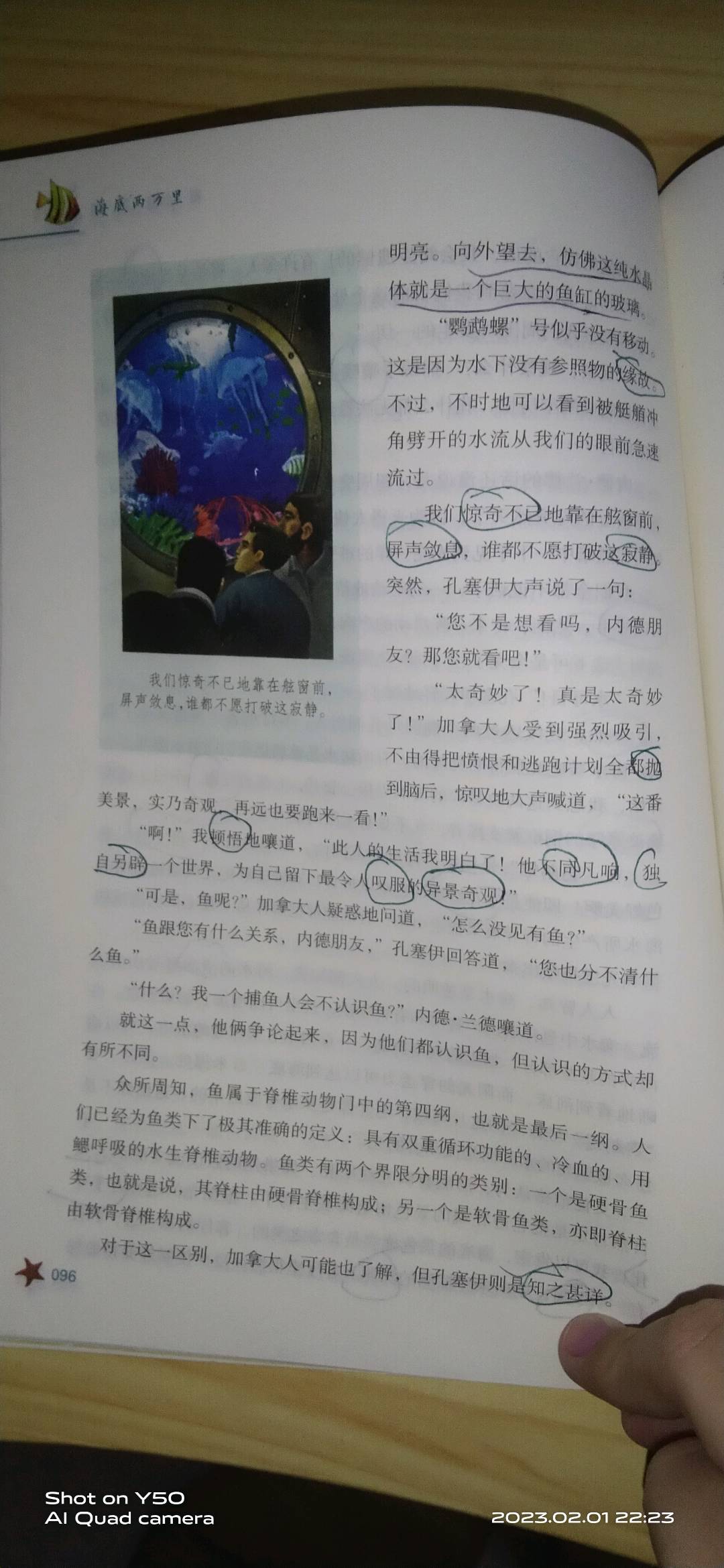 图像