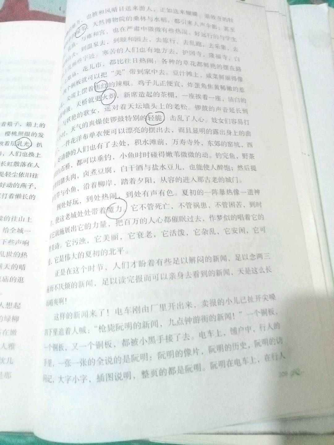 图像