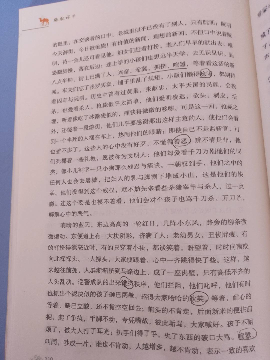 图像
