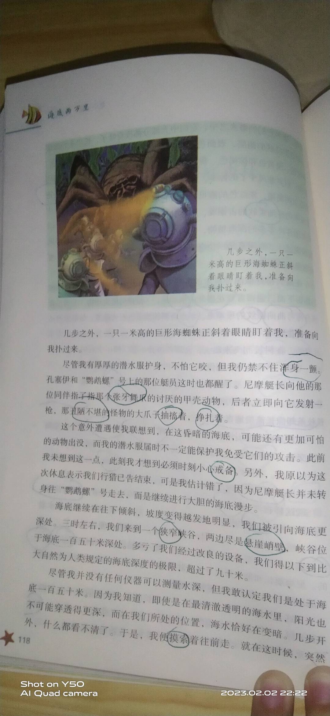 图像
