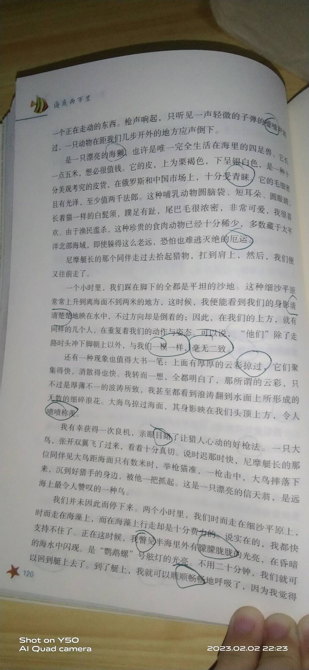 图像