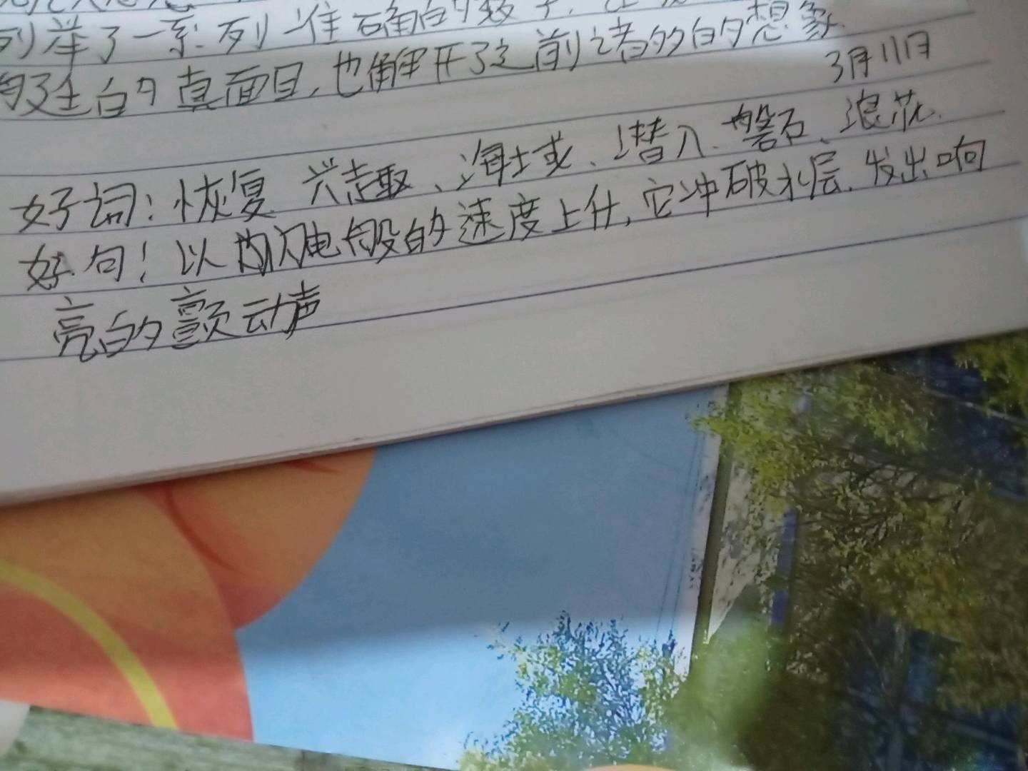 图像