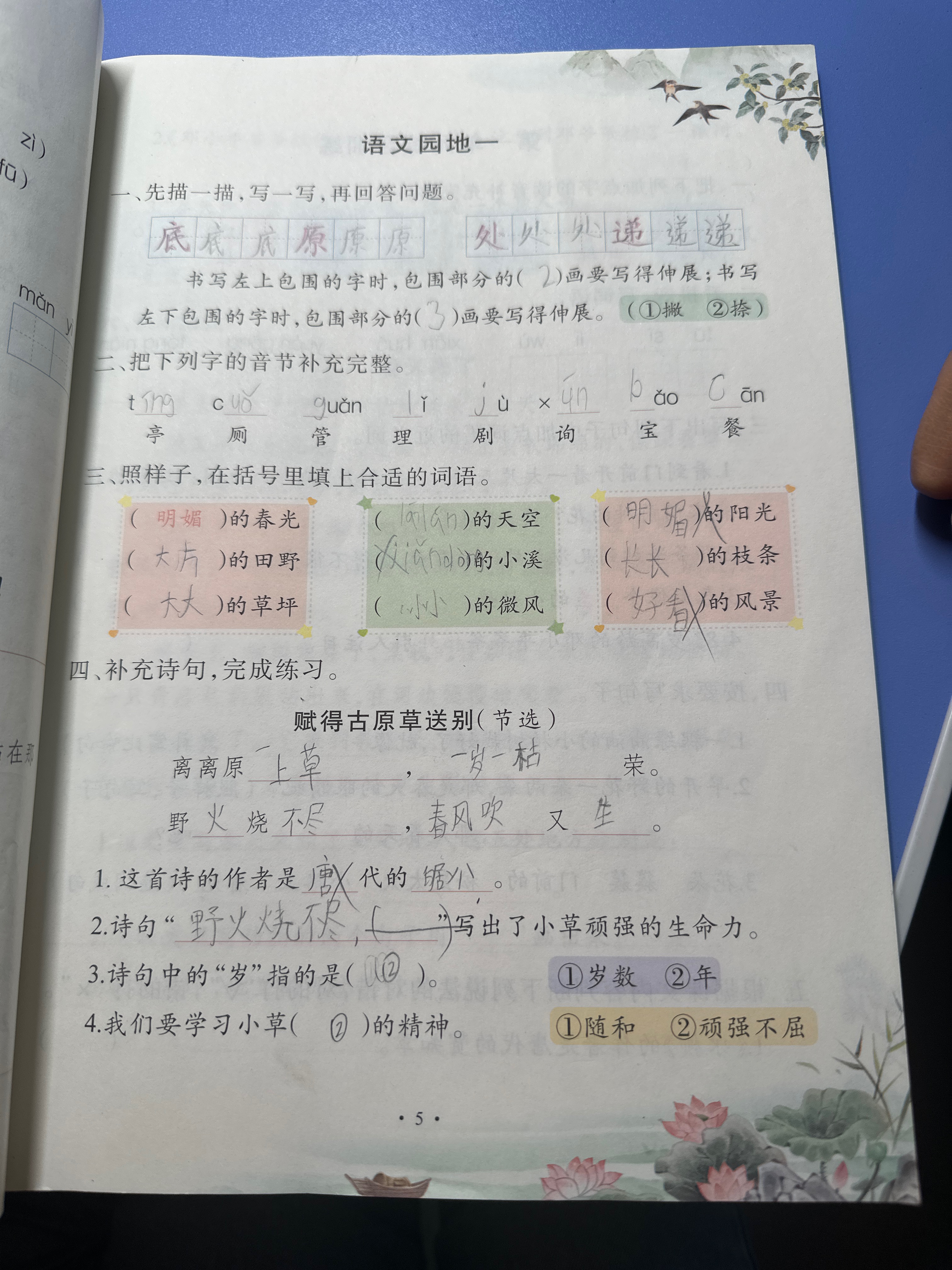 图像