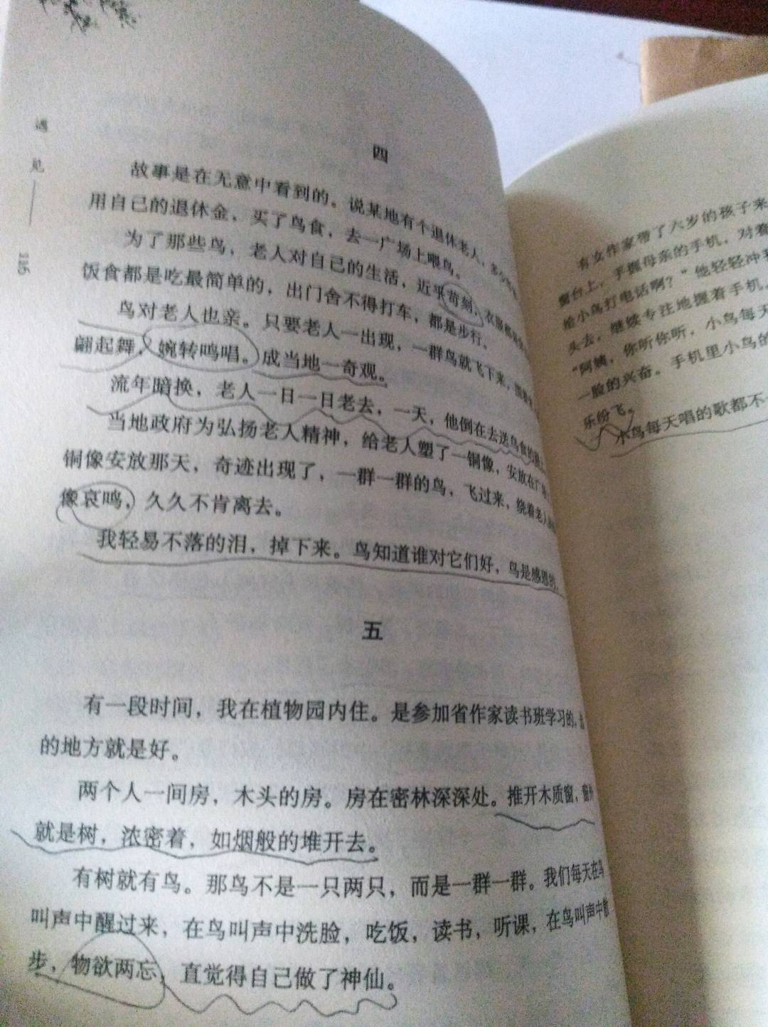 图像