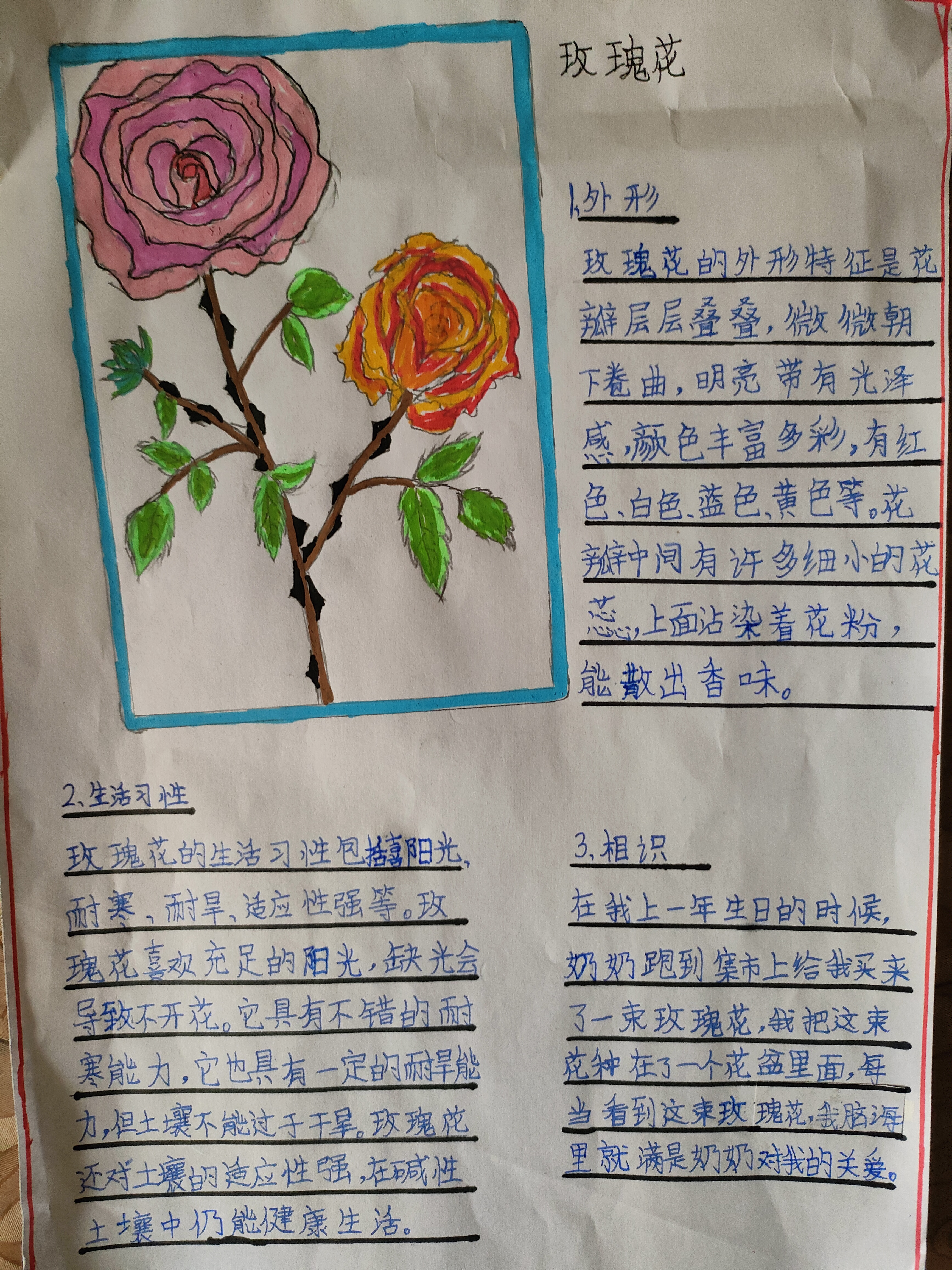 图像