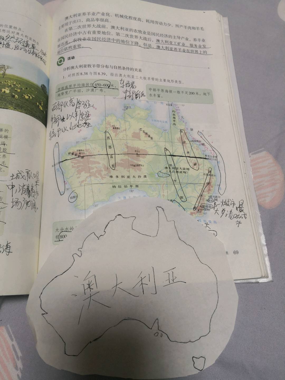 图像