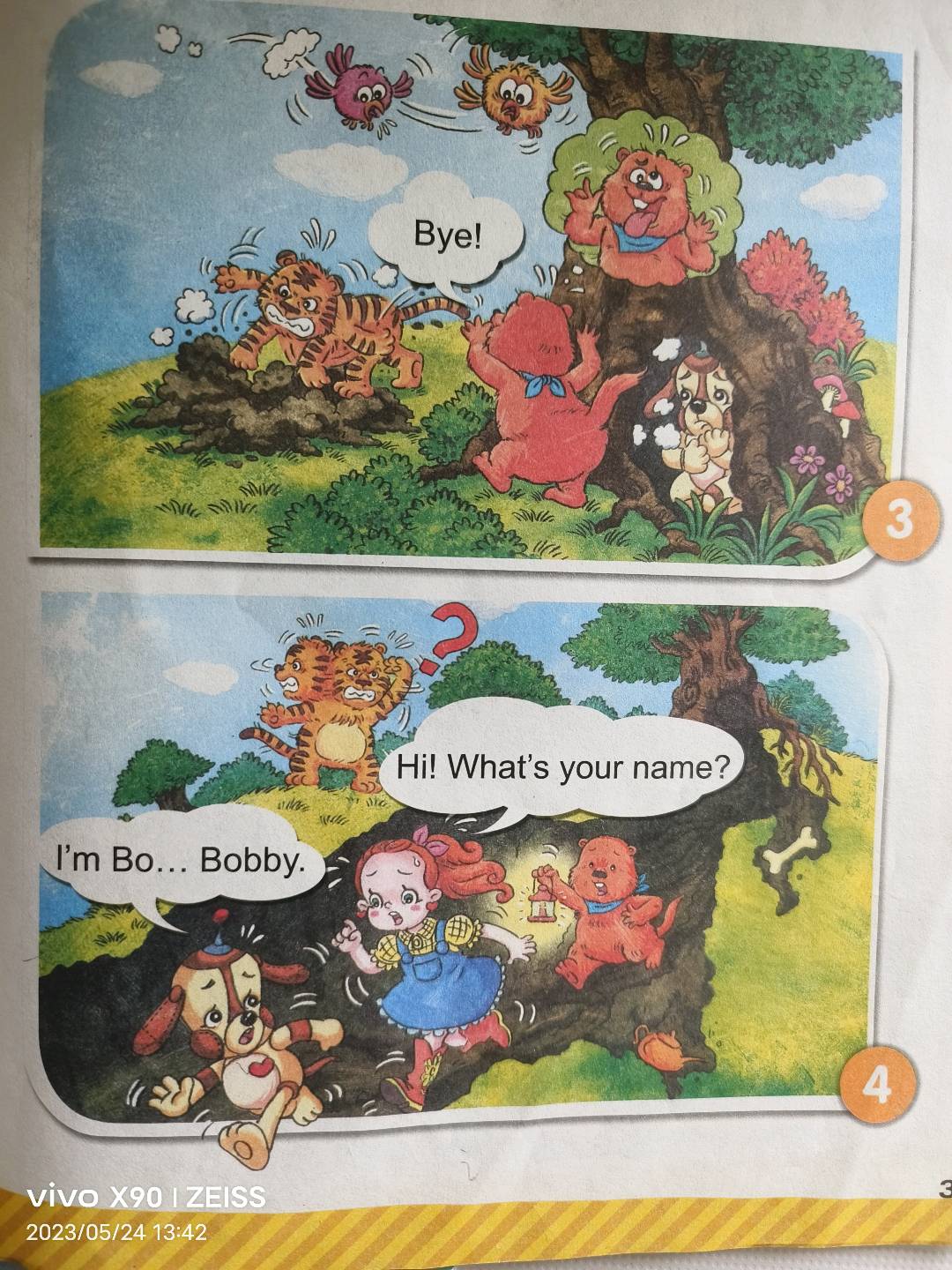 图像