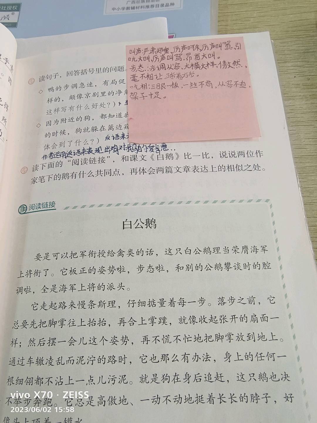 图像