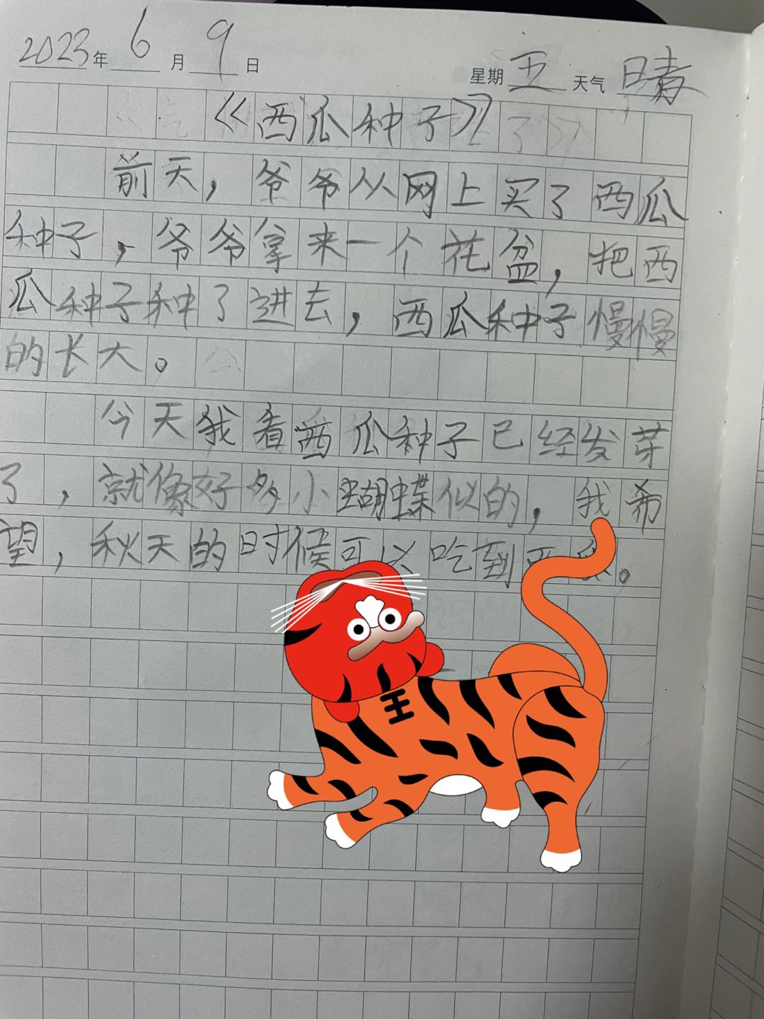 图像