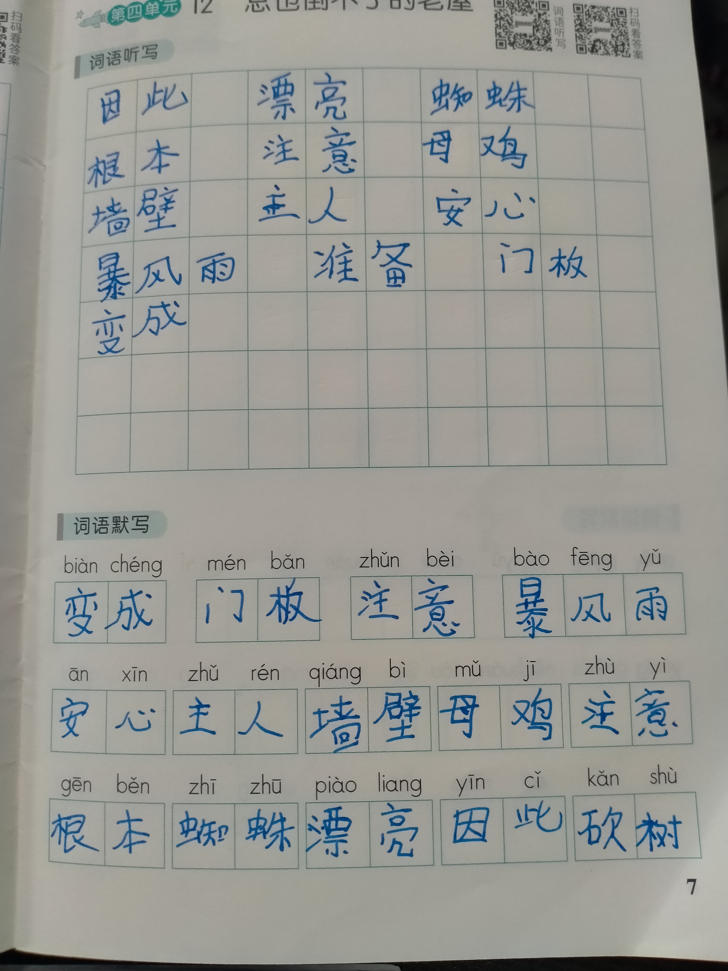 图像