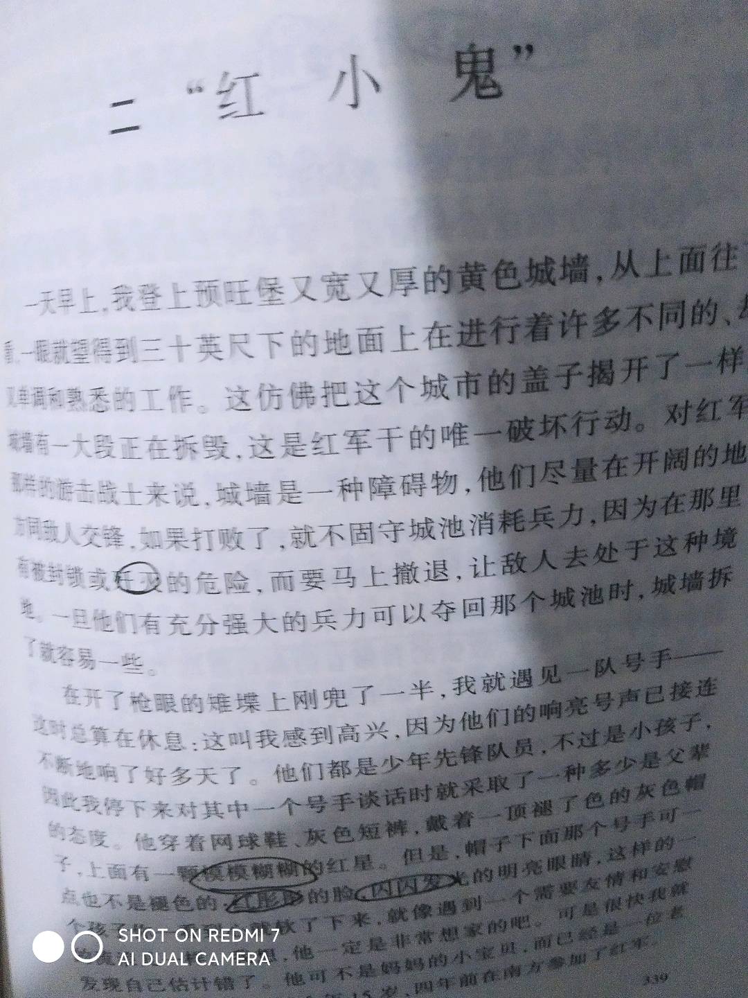图像