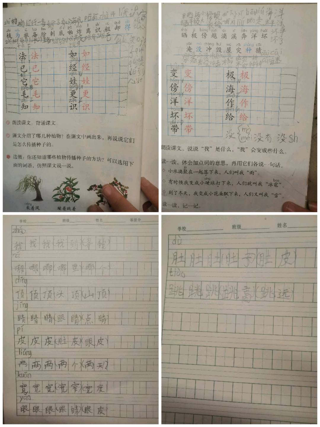 图像