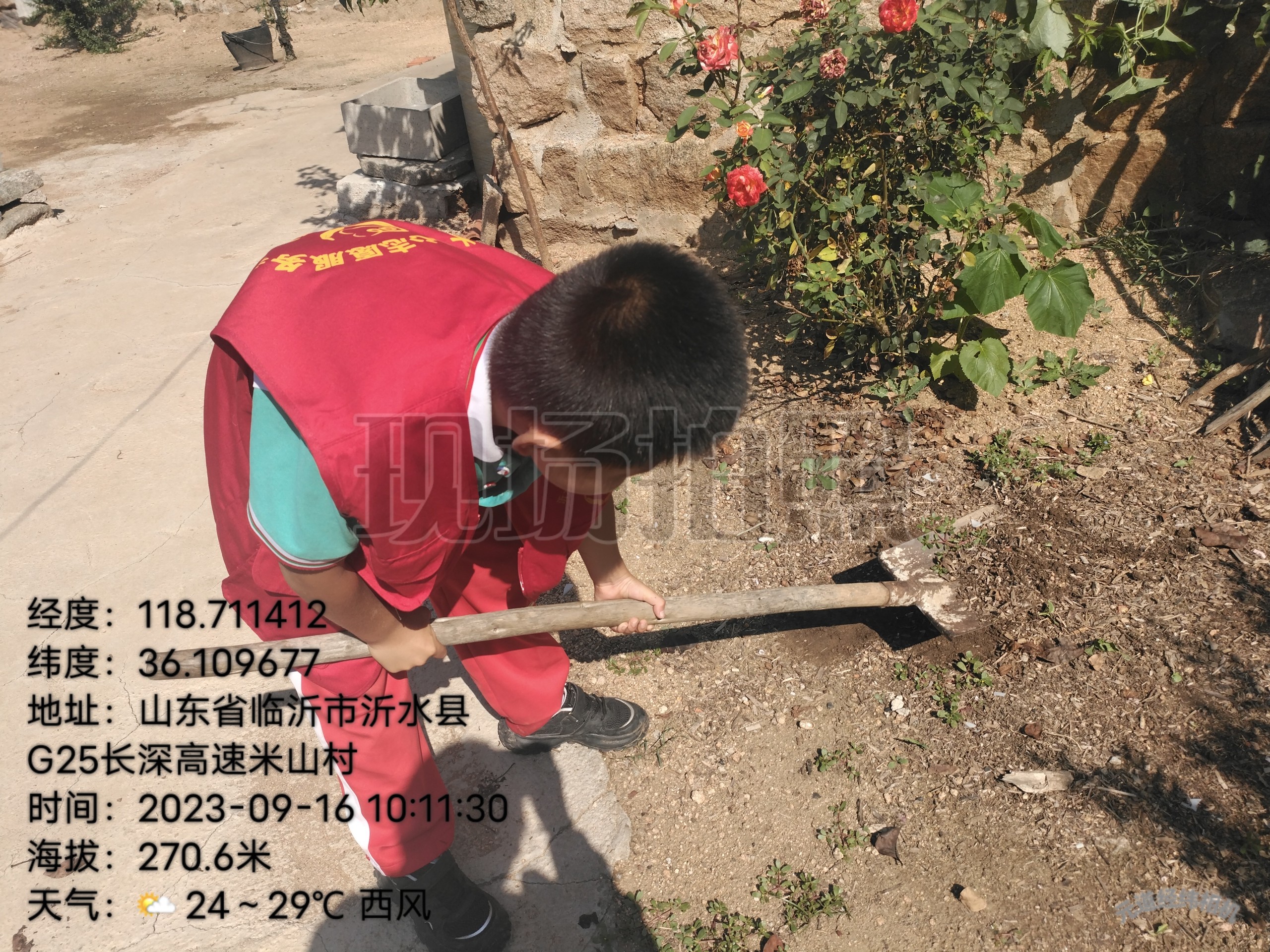 图像