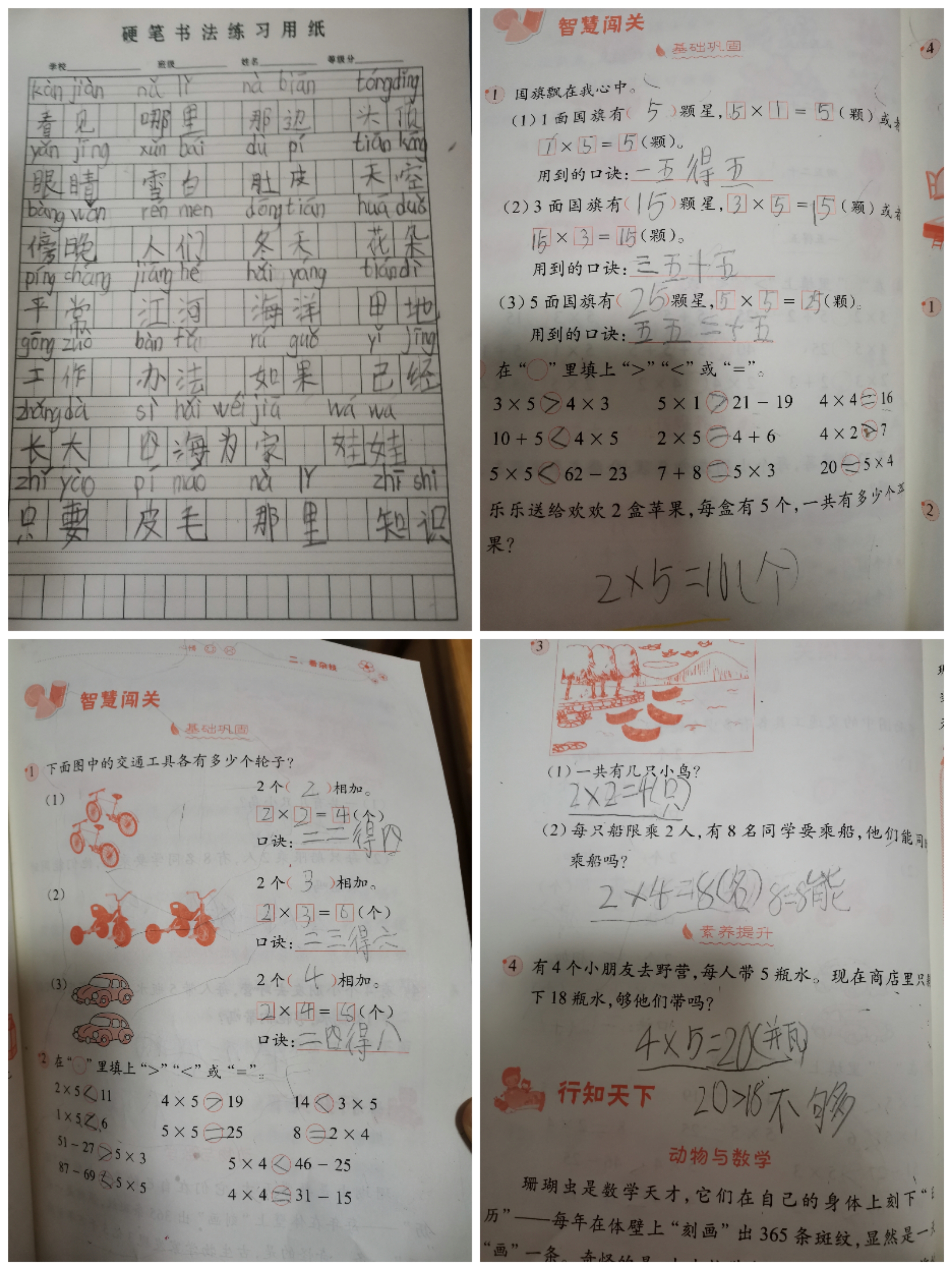 图像