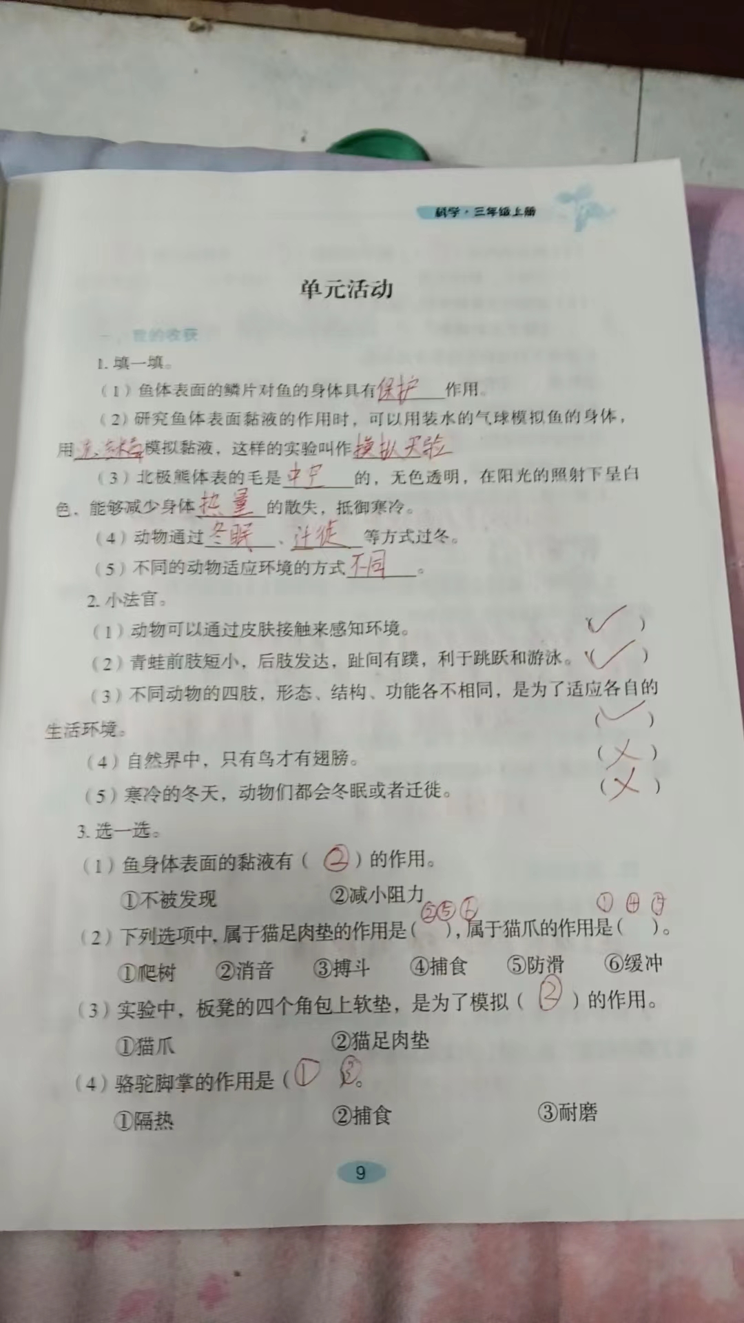 图像