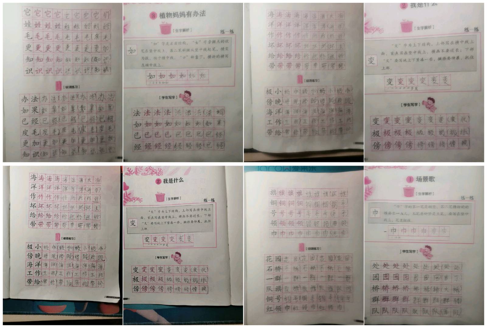 图像