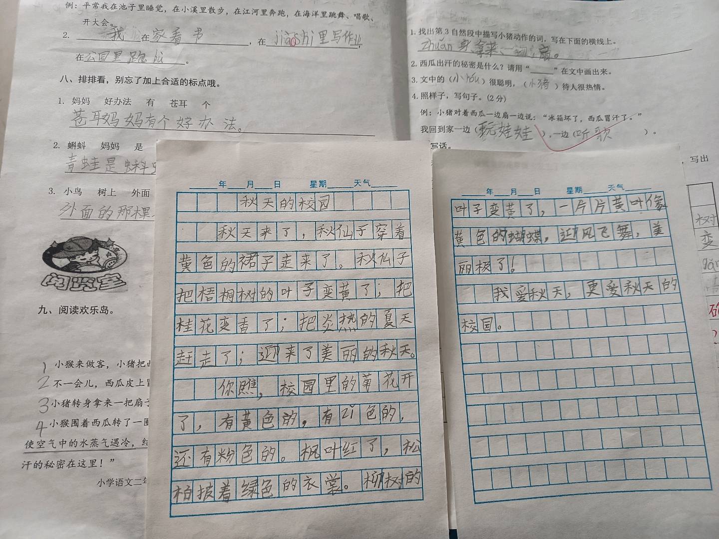 图像