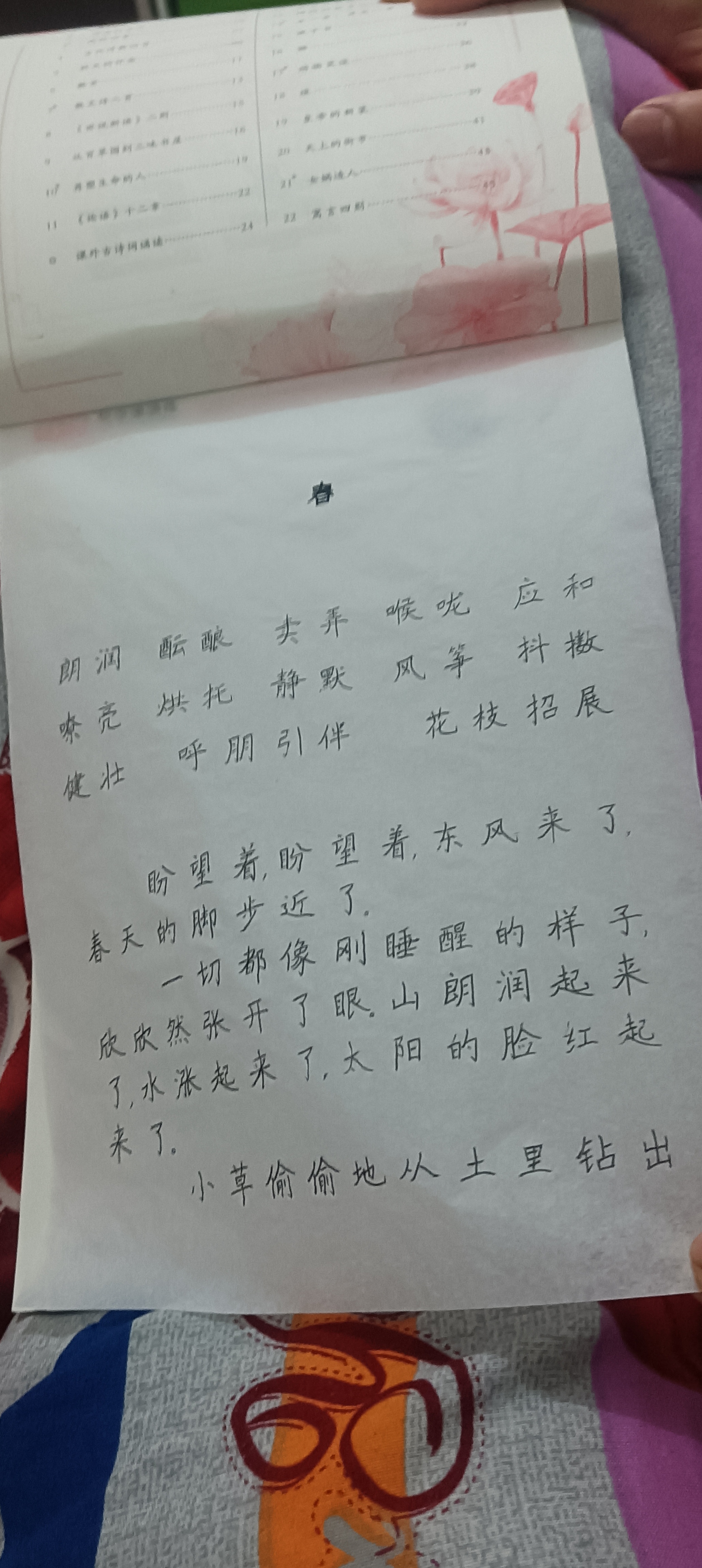 图像